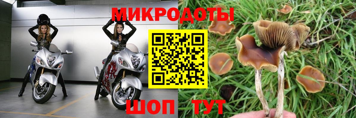 Псилоцибиновые грибы MAGIC MUSHROOMS  цены наркотик  Норильск  Вход с VPN 